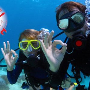 Intermare Divers | Πολλαπλές Περιοχές